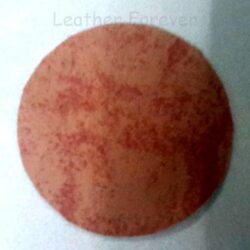 COASTER # LF – 7203